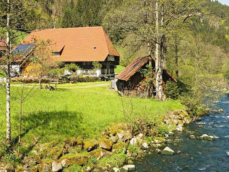 Gaestehaus Ursula Hornberg Exterior foto