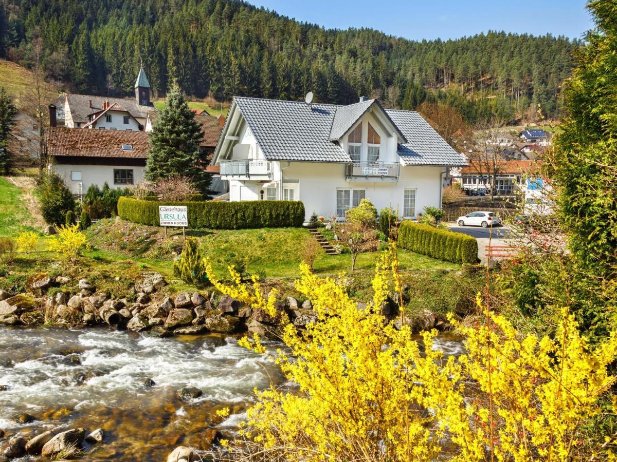 Gaestehaus Ursula Hornberg Exterior foto